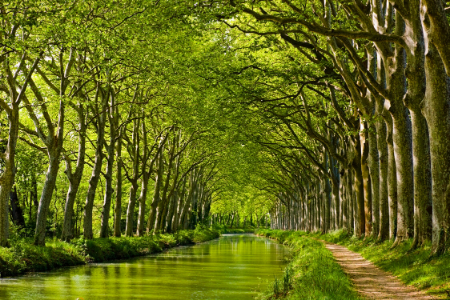 Balade le long du Canal du midi dans l'Aude